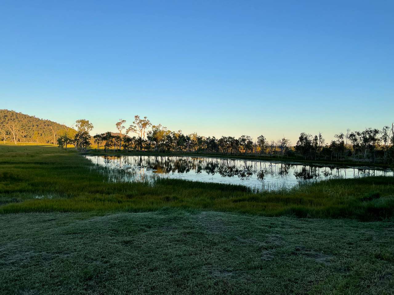 Tranquil View Camp