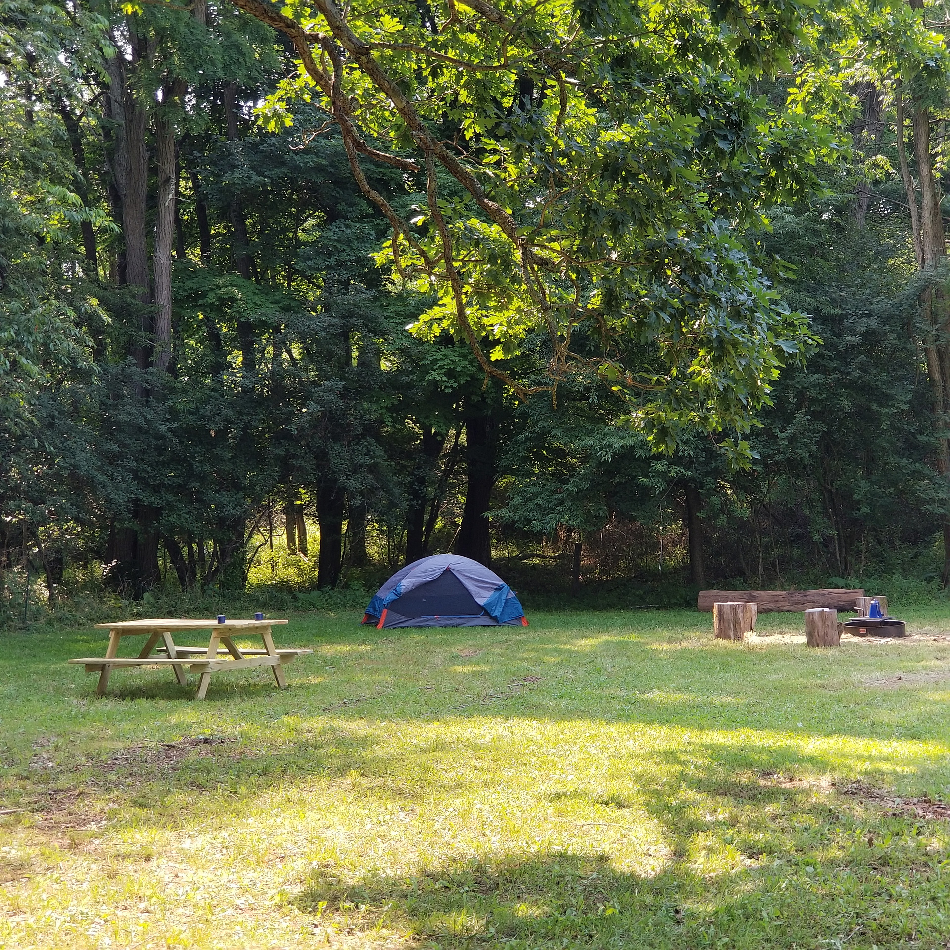 Apple Blossom Camp
