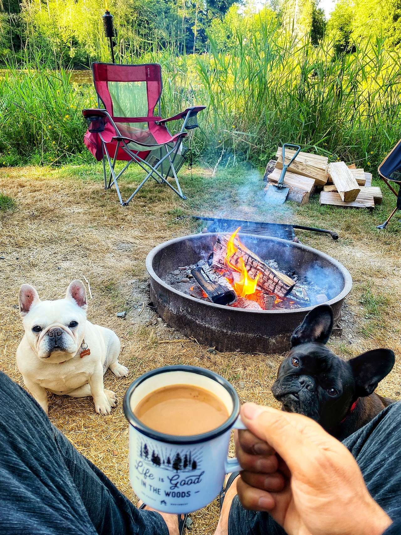 Dragonfly Campground