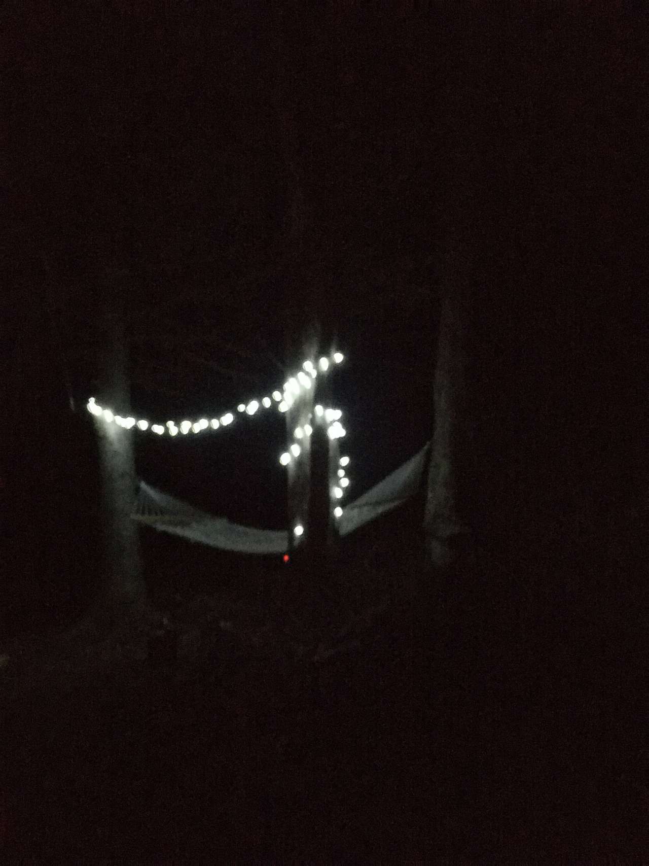 Forest camping