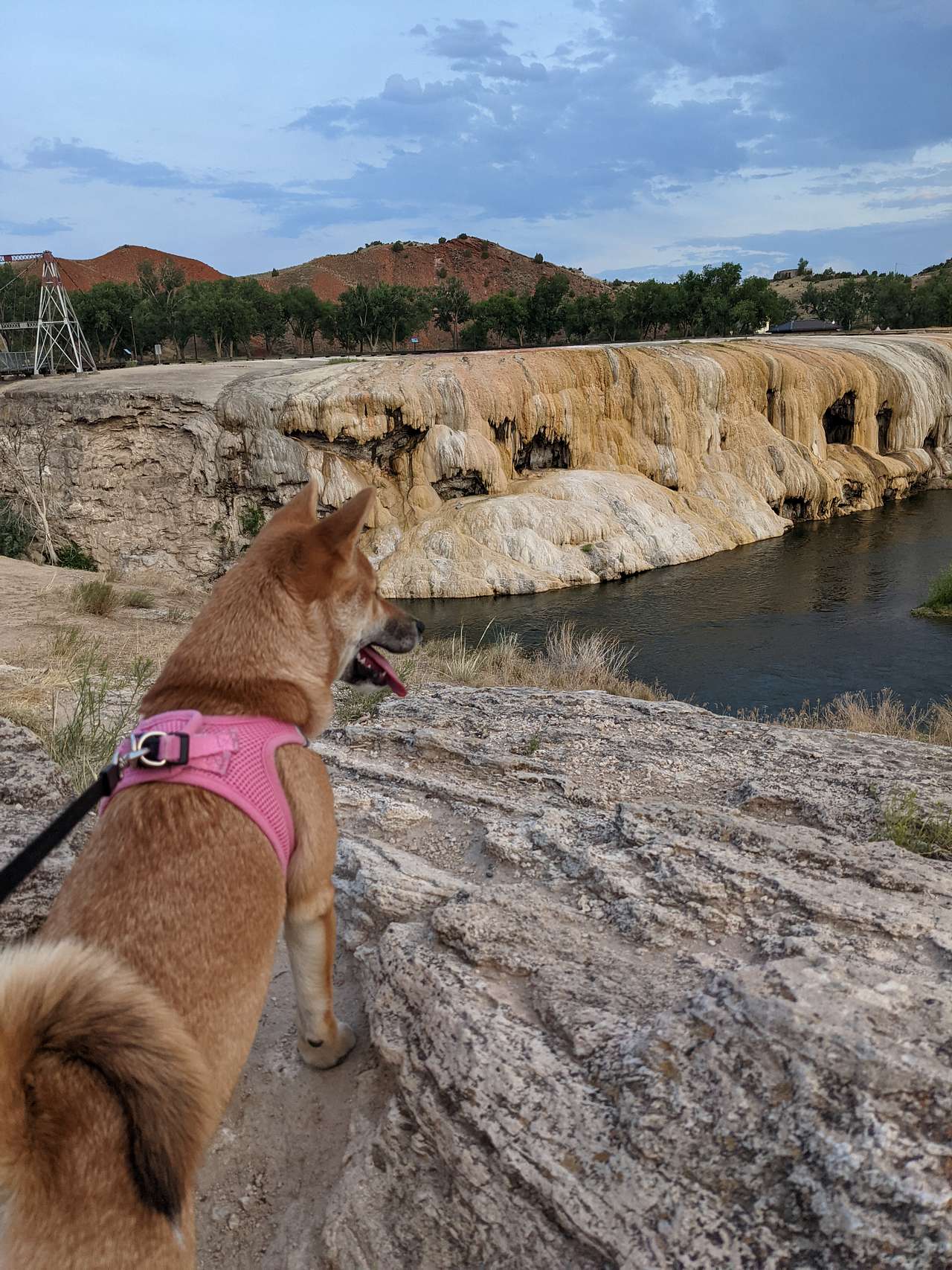 Hot Springs