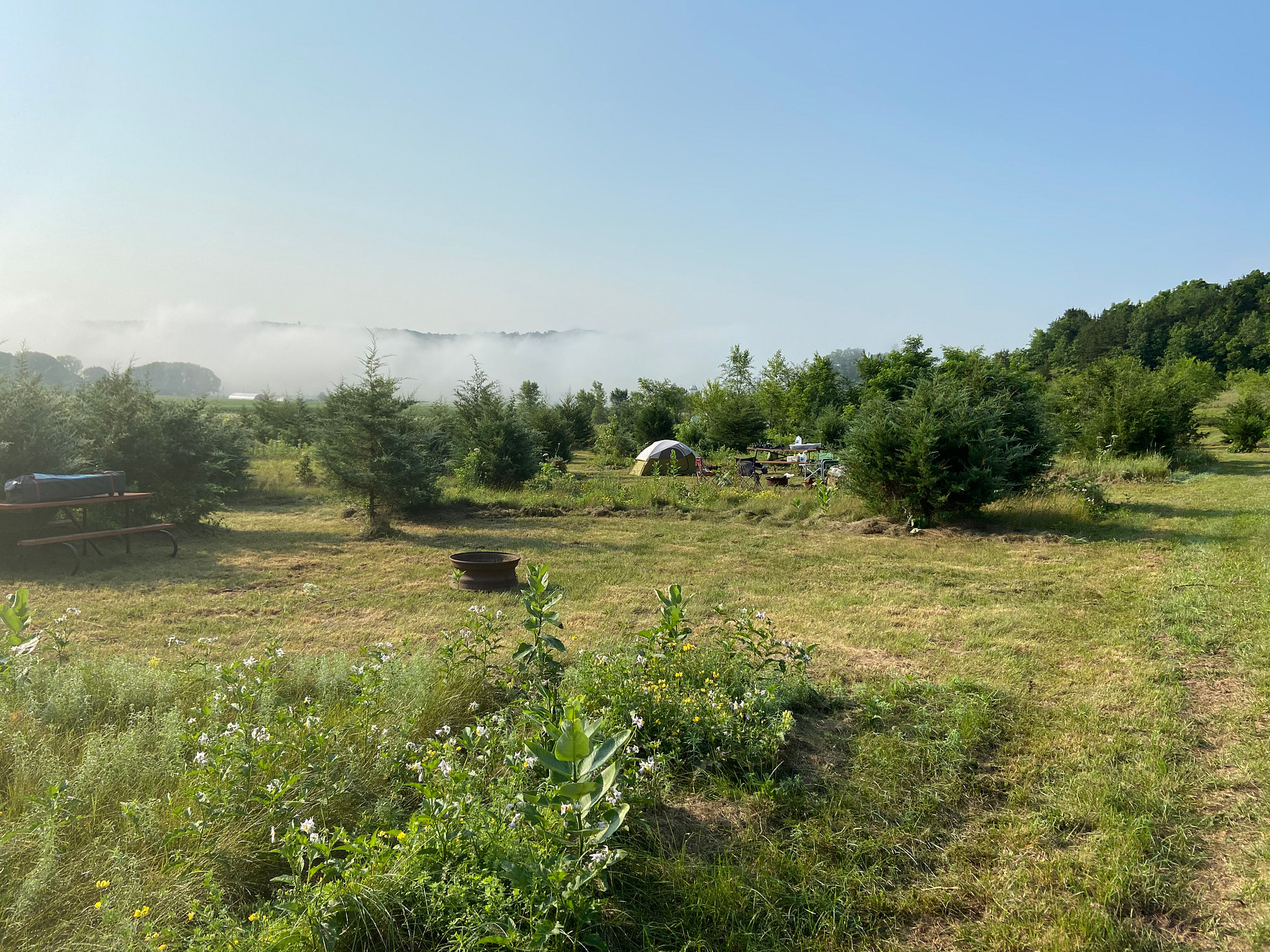 Valley campsites 