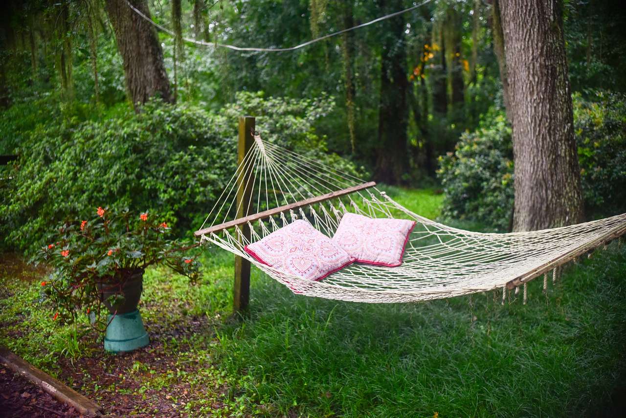 relax and read on the hammock