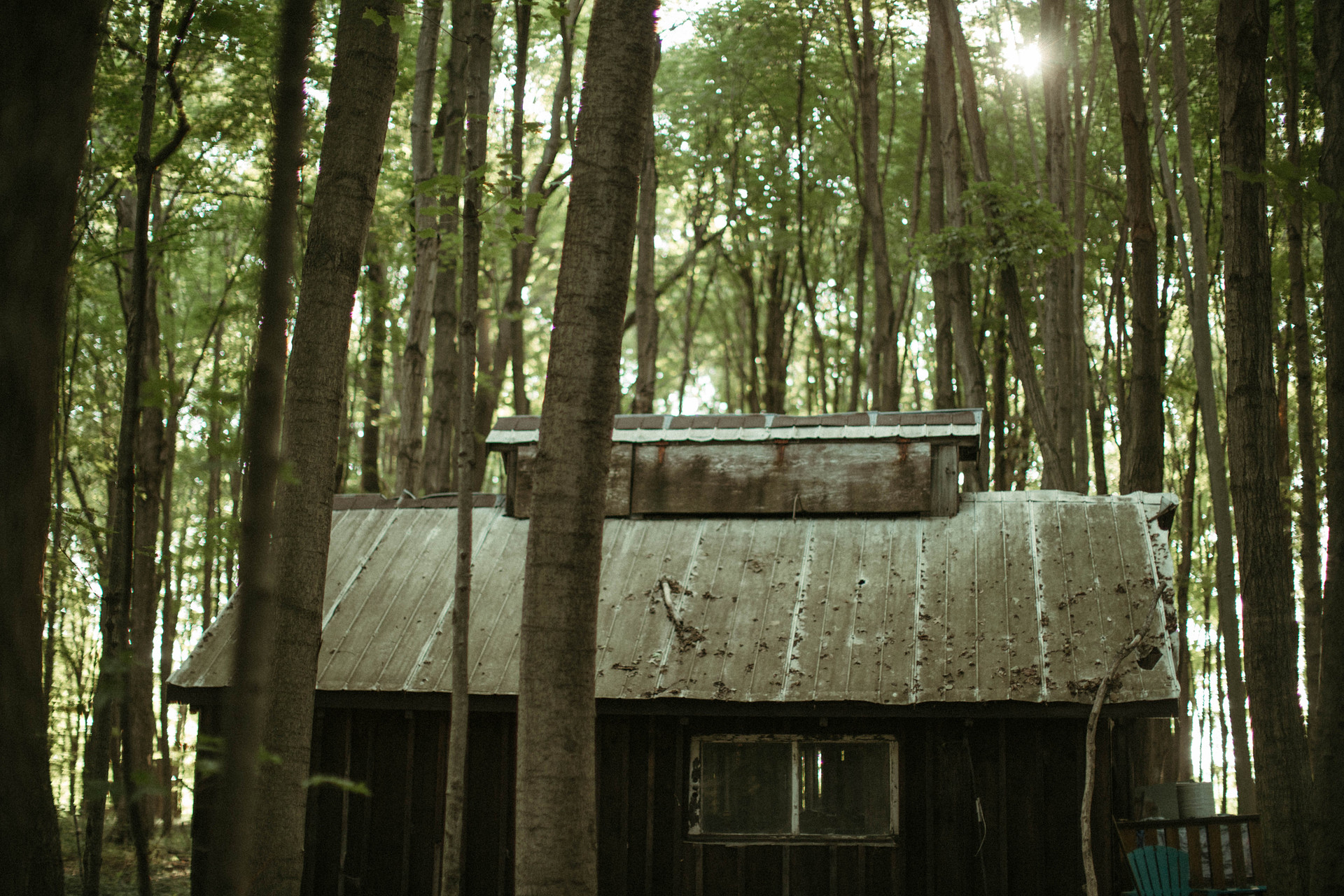 The sugar shack looked perfectly tucked away in the woods.