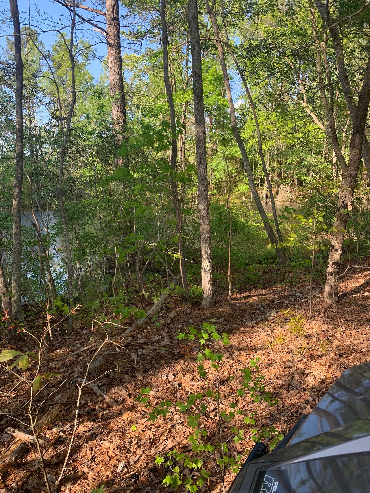 Rural.. thousands of acres behind to explore