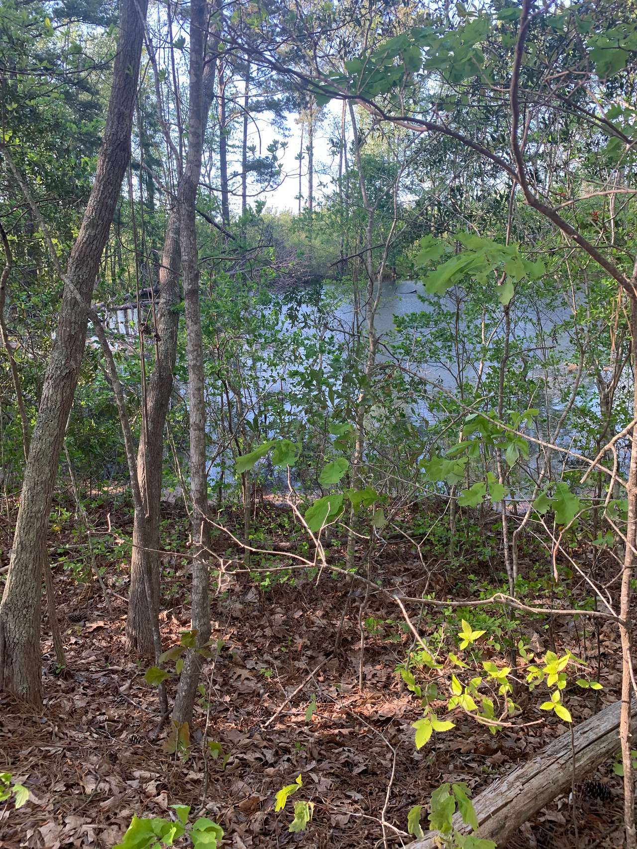 Rural.. thousands of acres behind to explore