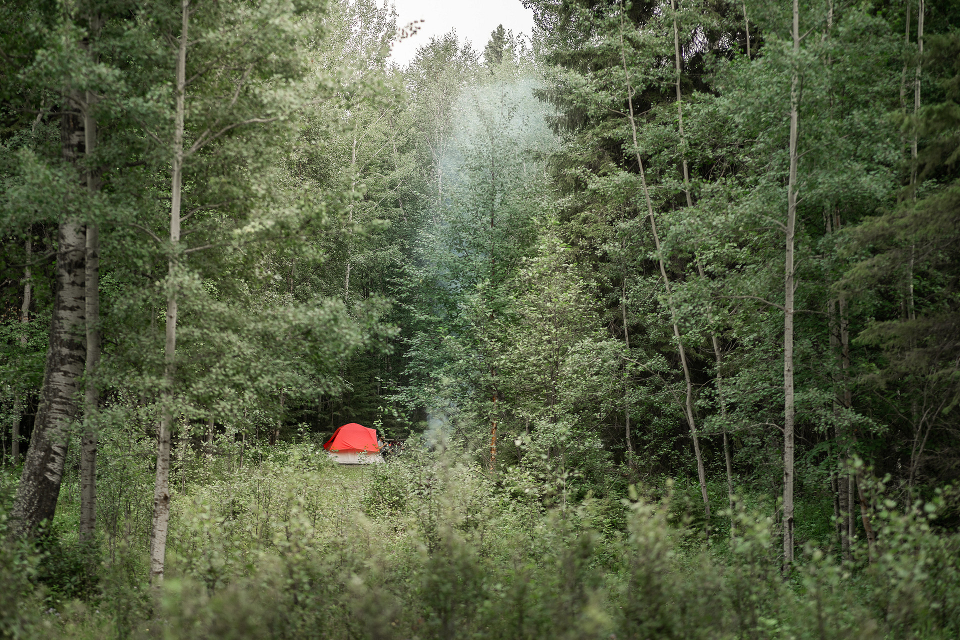 Tenting friends!