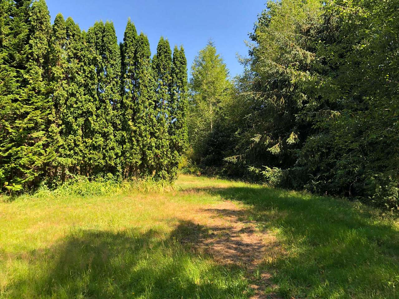 This is a large flat area that would work well for play and/or tent camping. 