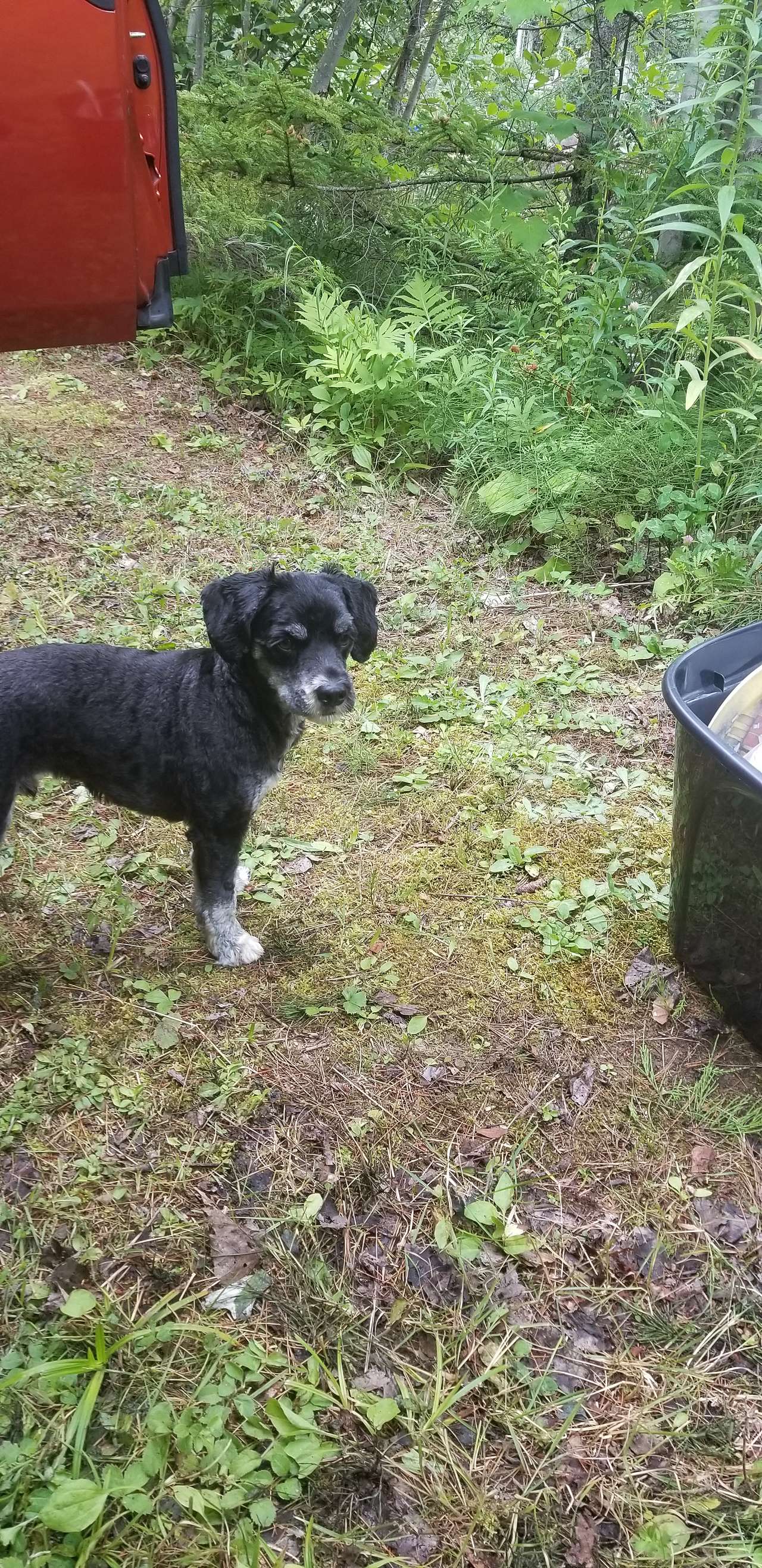 This is Jack! 
