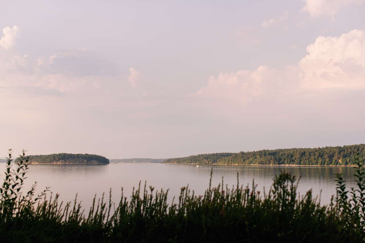 Serenity on Harstine Island!