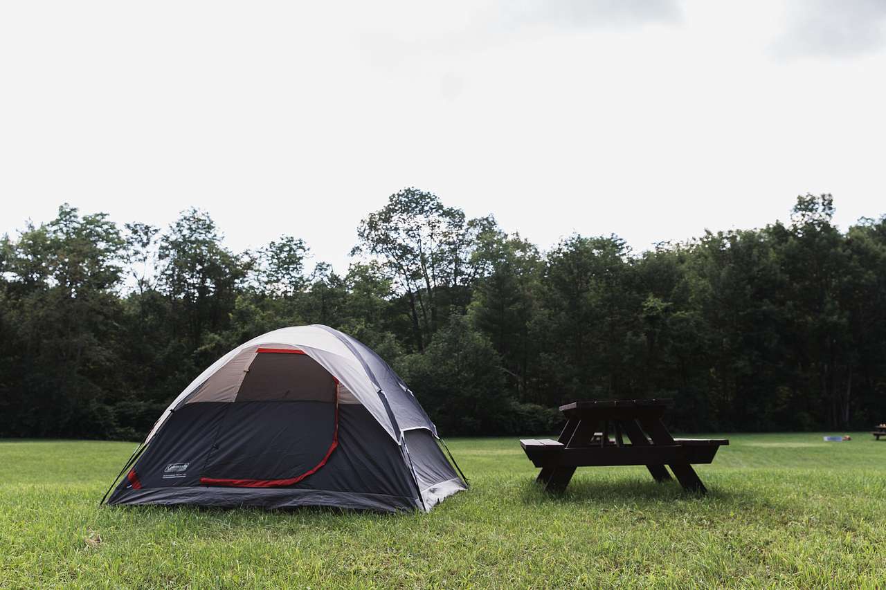 I normally prefer to camp tucked into the woods, but this high spot in the middle of the field was nice and dry after weeks of rain. 