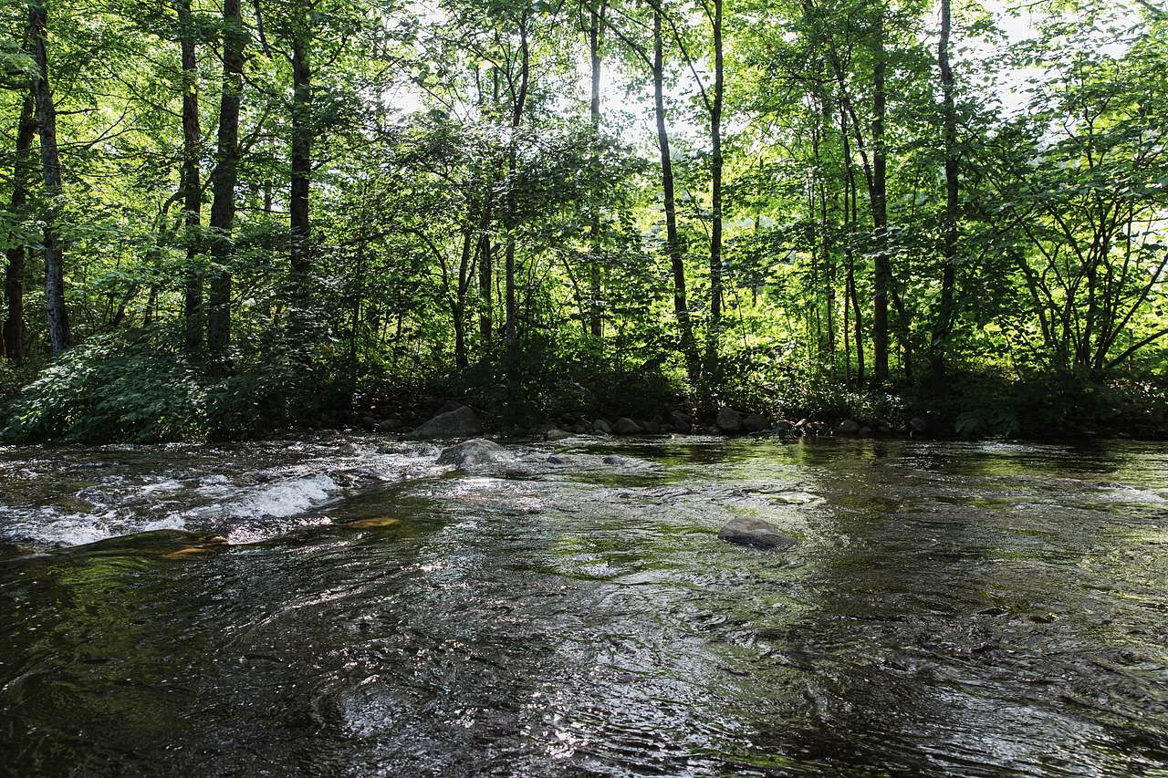 On a hot August afternoon, there's nothing nicer than stepping into the cold water. 