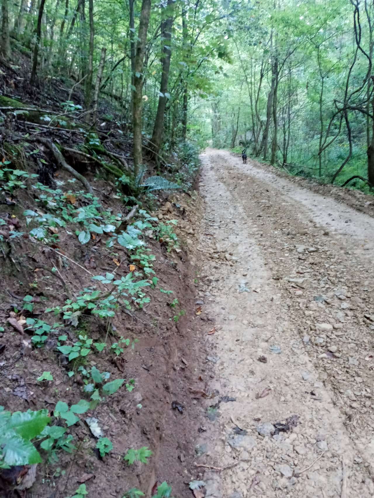 Camp by the holler road or adventure off the beaten path
