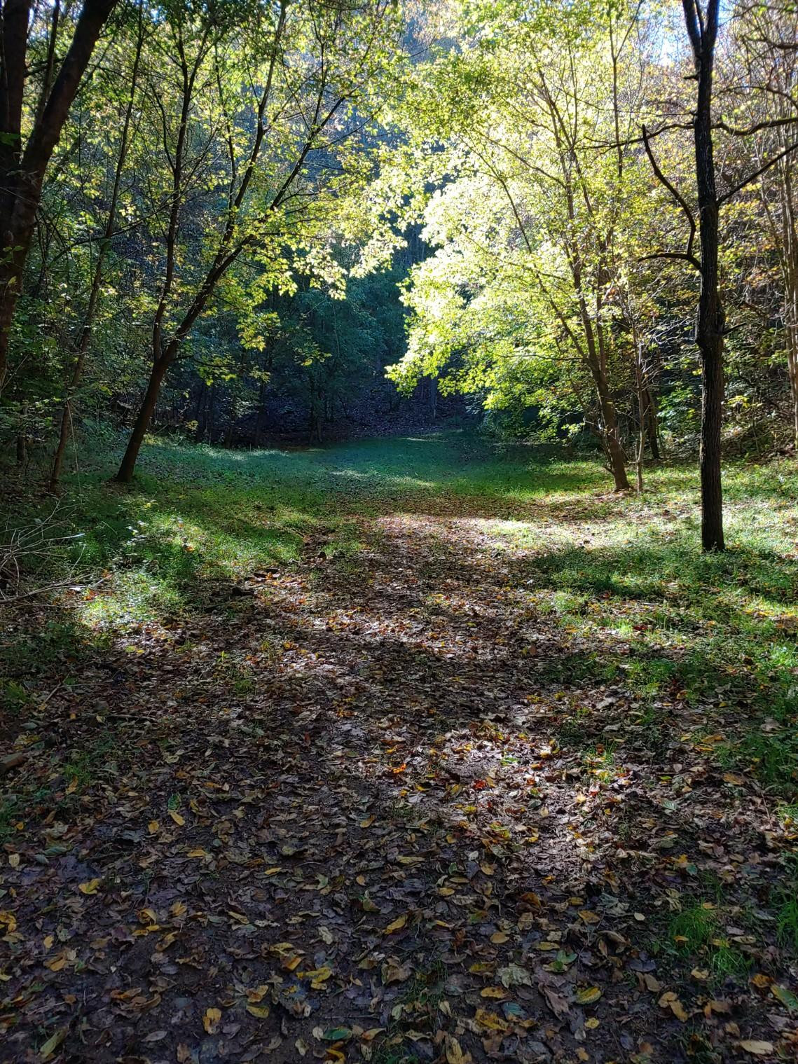 Total serenity await's you
