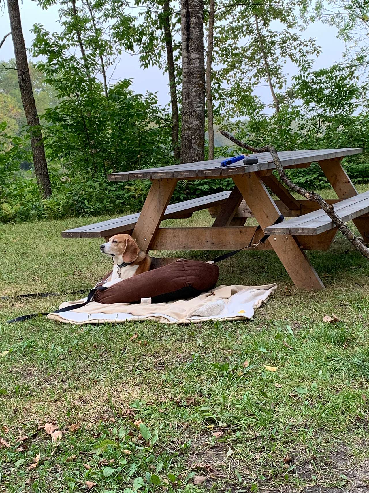 Floodwood Municipal Campground
