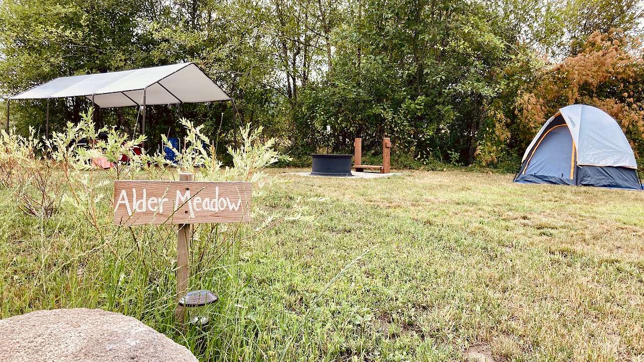 Alder Meadow camp area