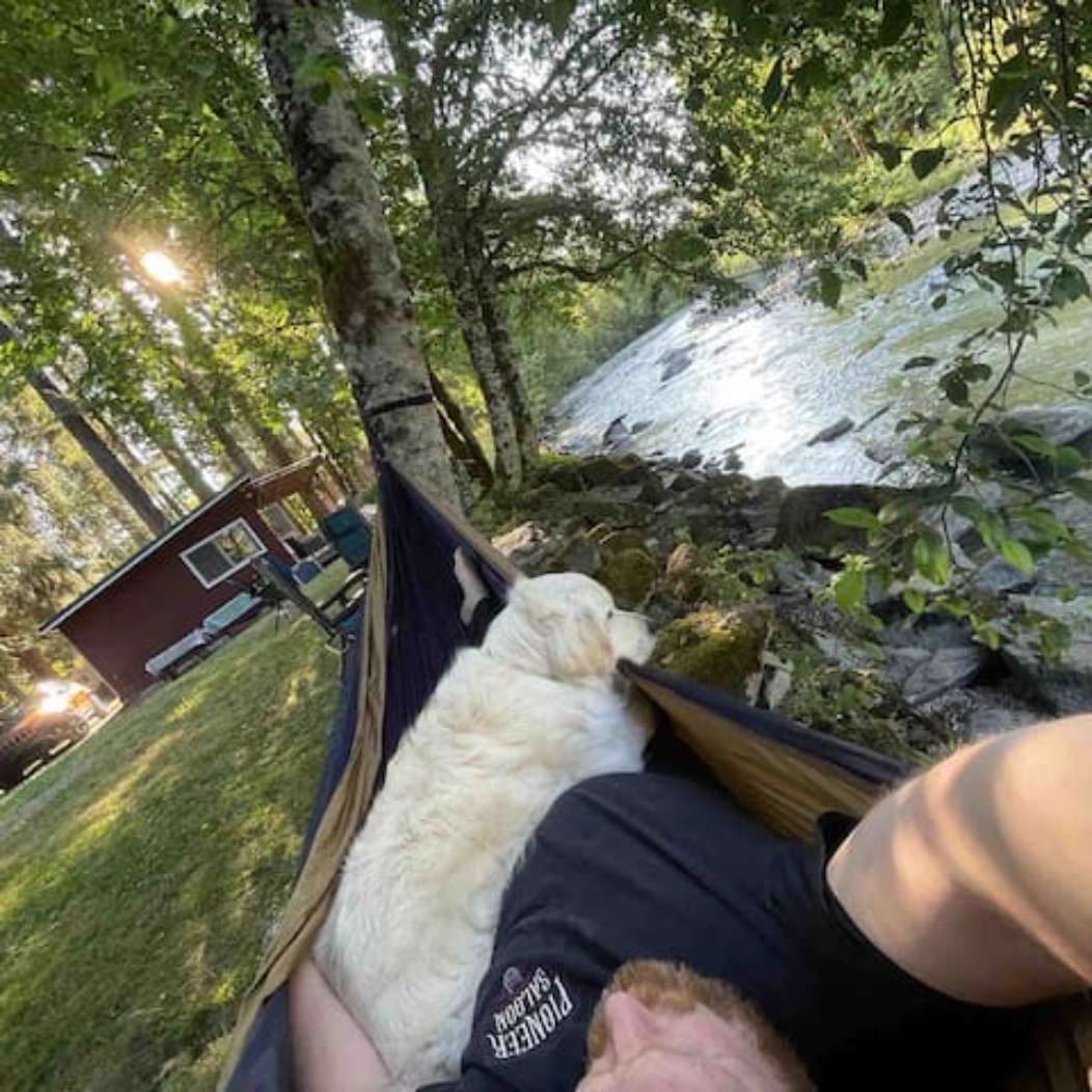 throw up your hammock