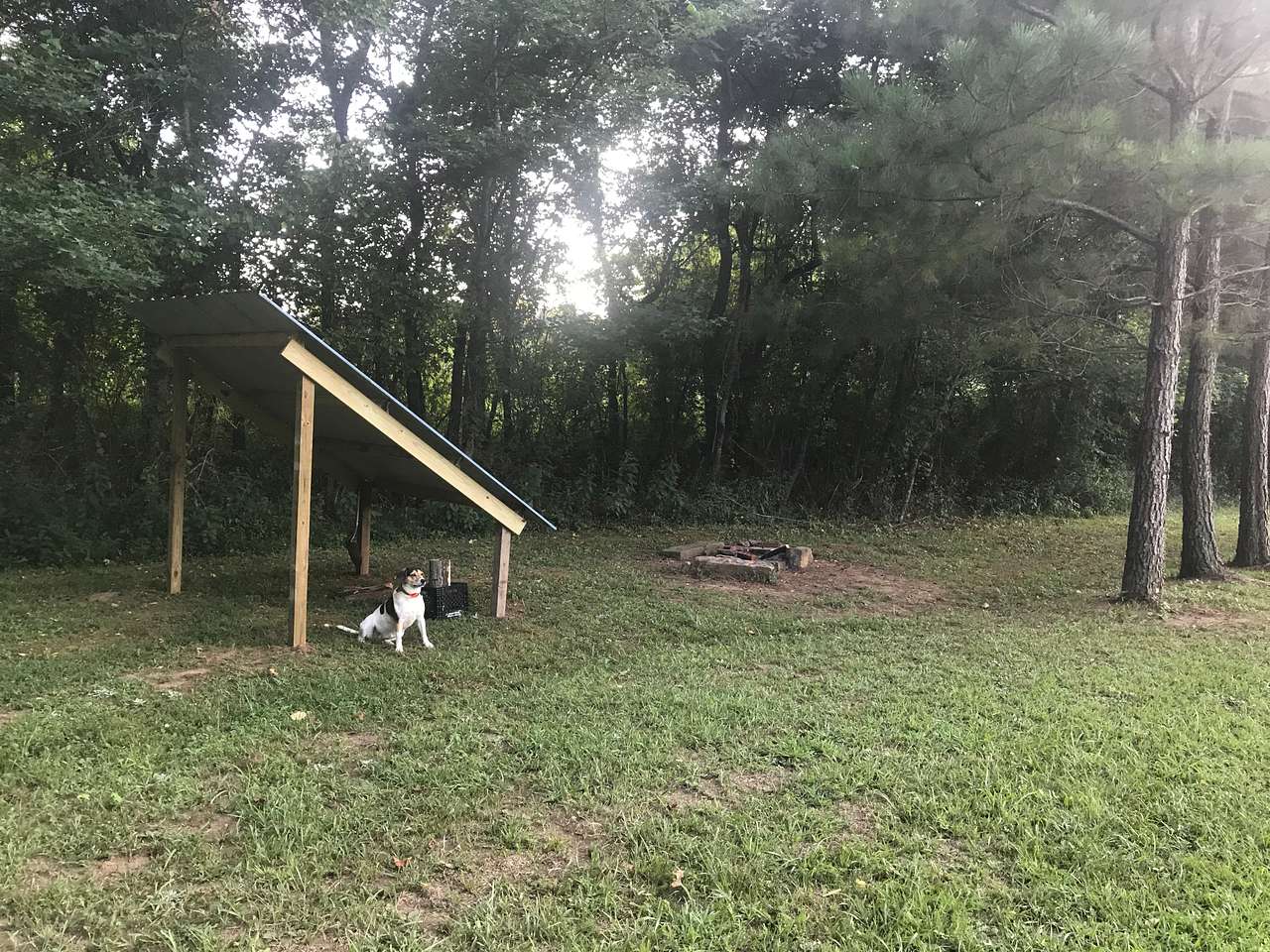 A small lean-to shelter. Approximately 8’x8’ with Lucy The Adventure Dog R.I.P.
R.I.P.
giving her best pose.

