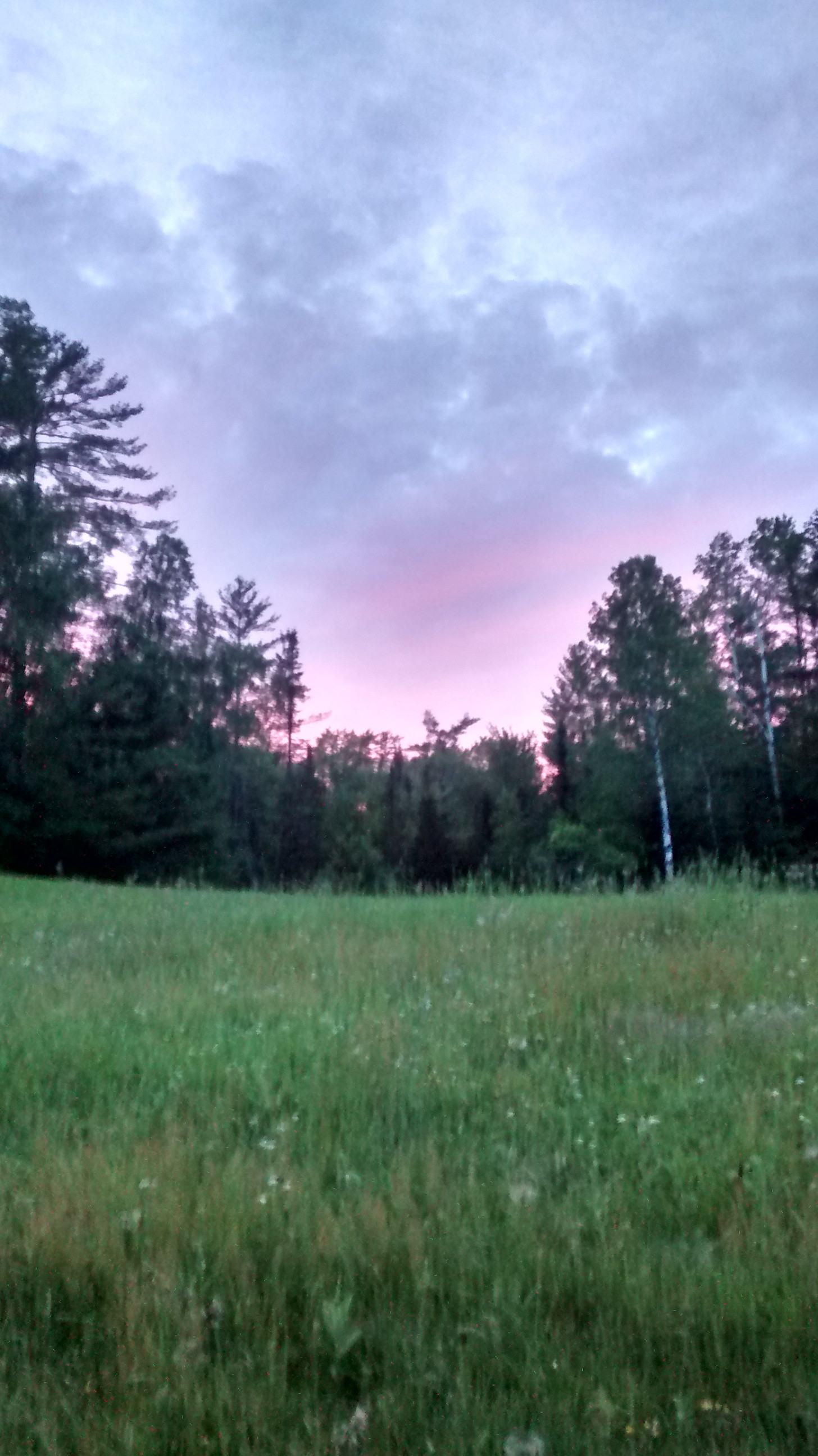 Private field and woods camping