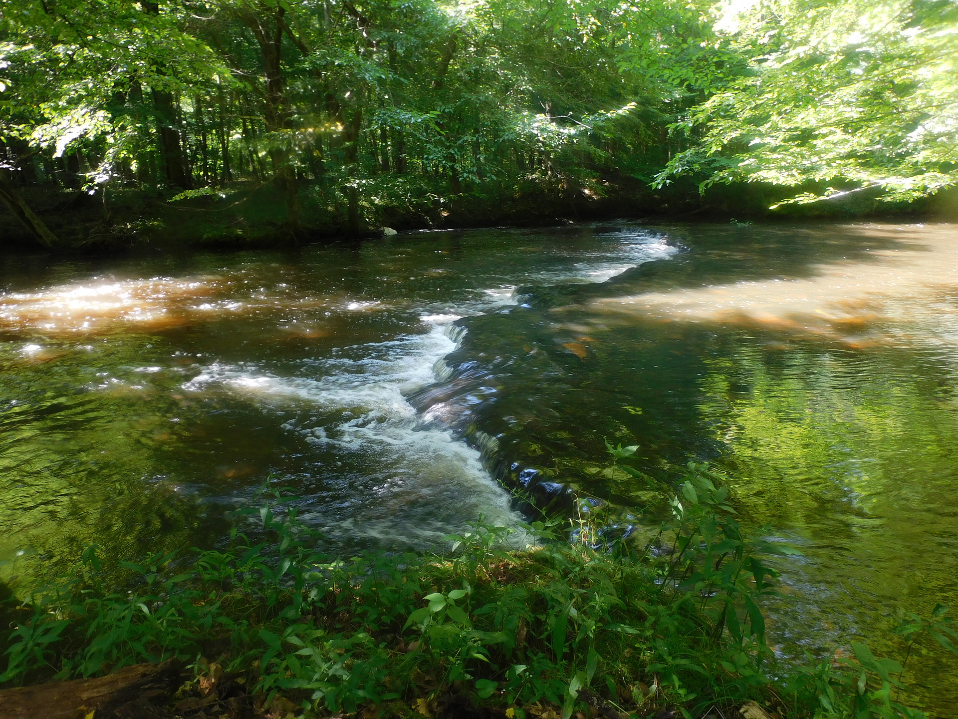 Creek