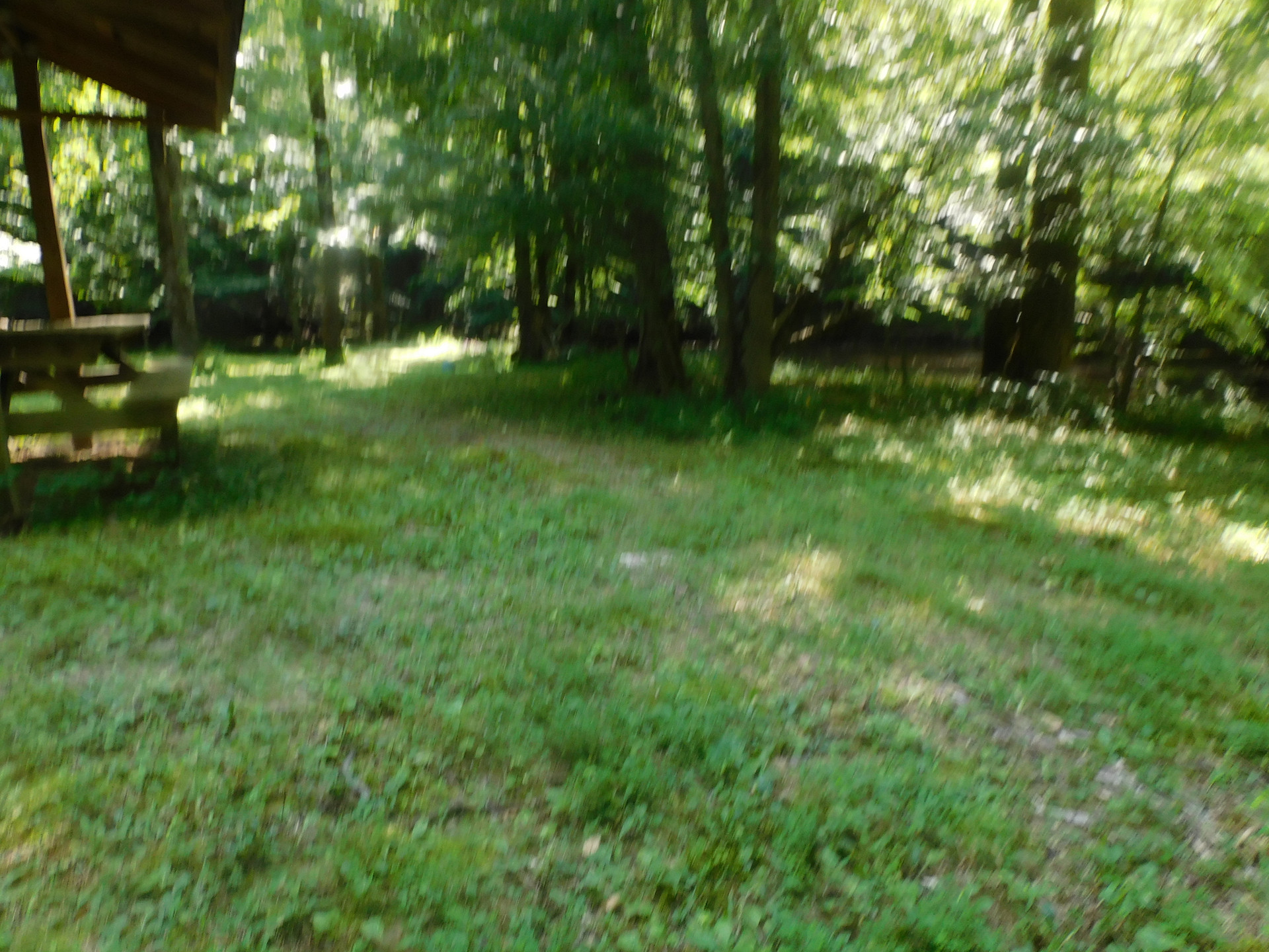 Camping site