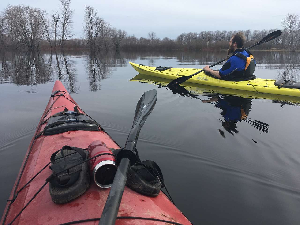 We have six sea kayaks to rent out... and the river is alive with birds, beavers and muskrats that are fun to observe. 
