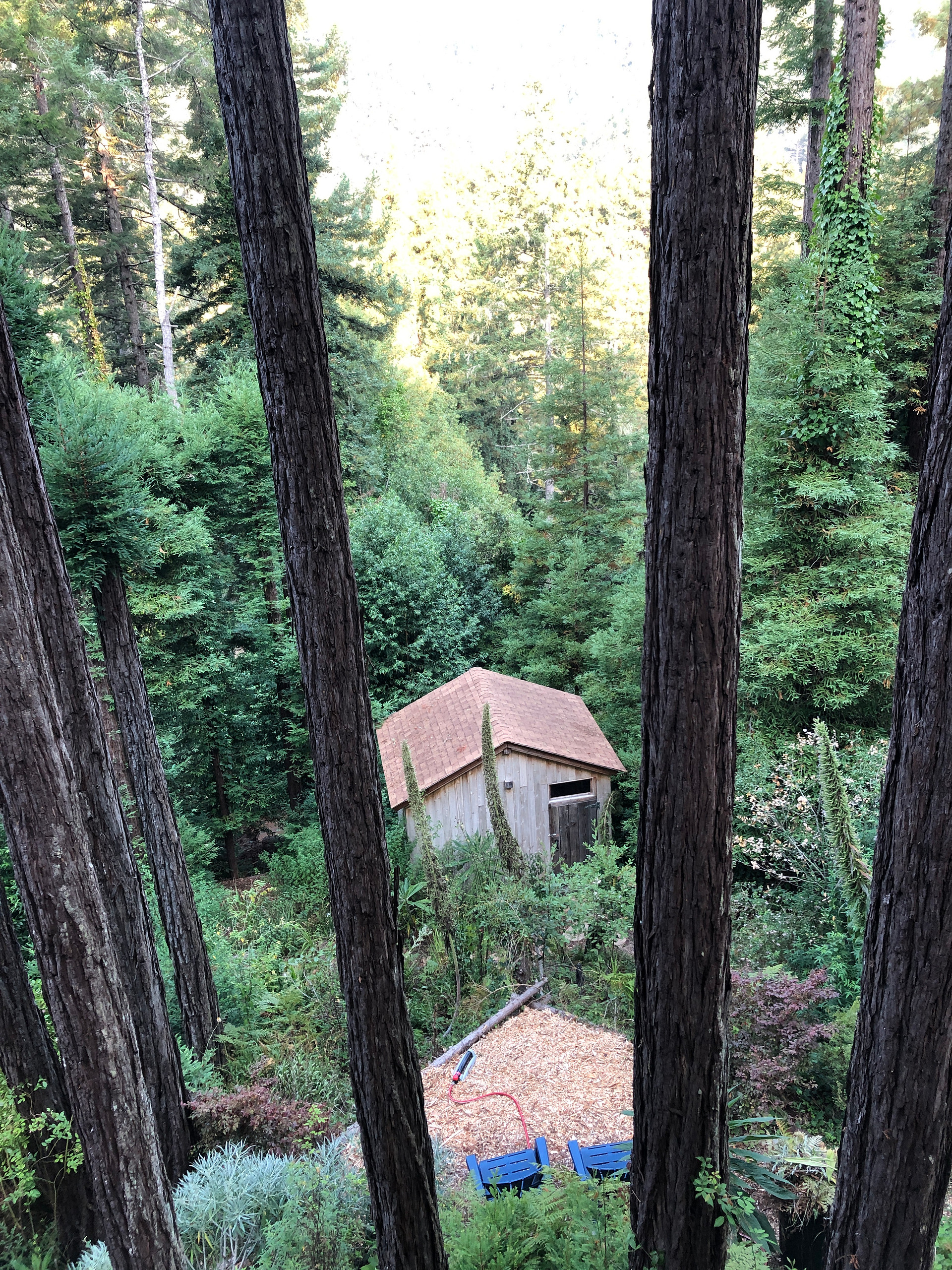 View of the taverna from the deck of the main house