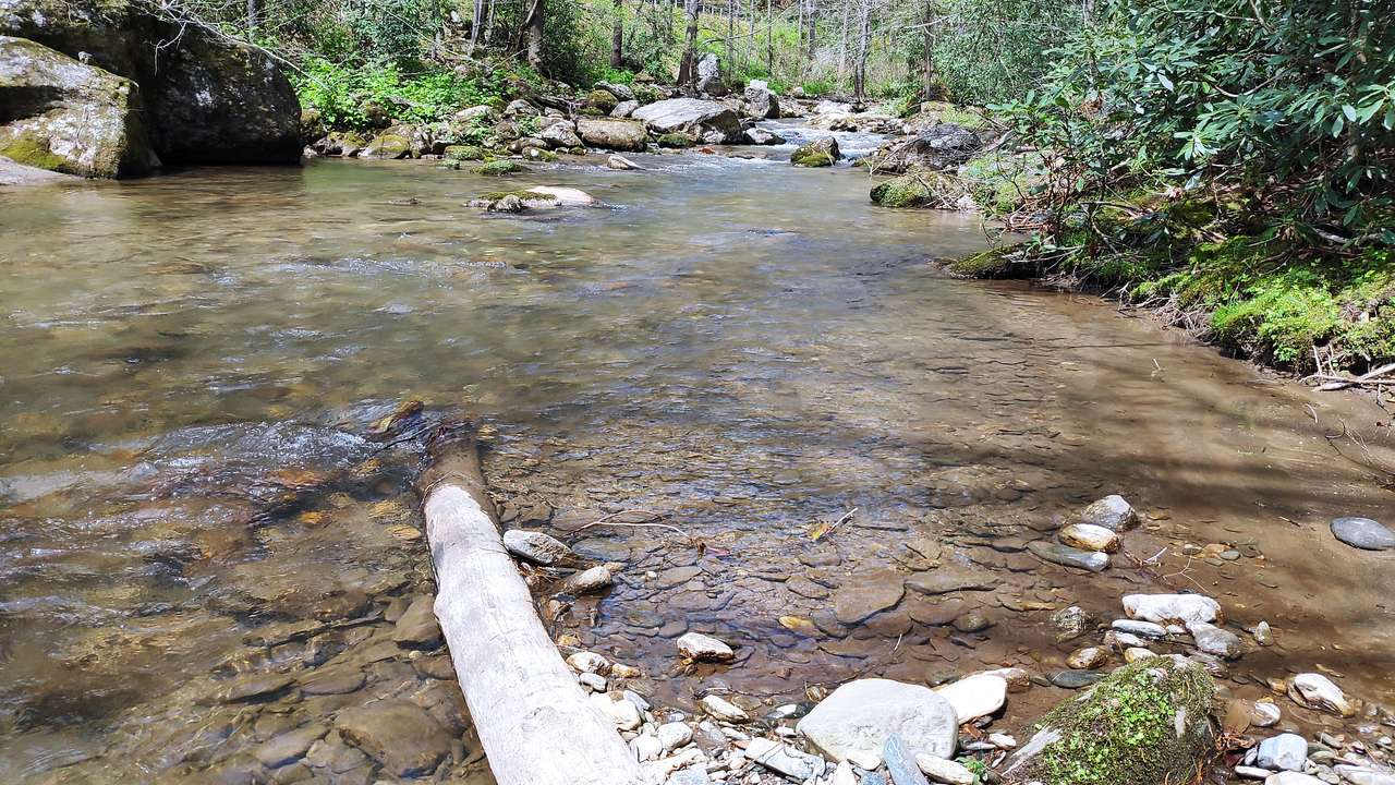 Rejuvenation River & Mtn Campsite