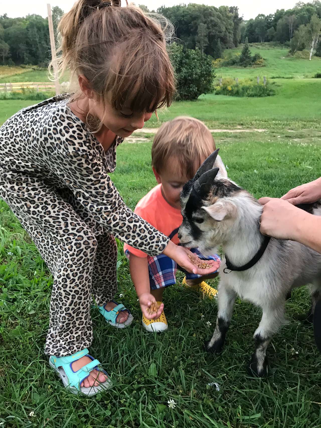 Stone Oaks Farm