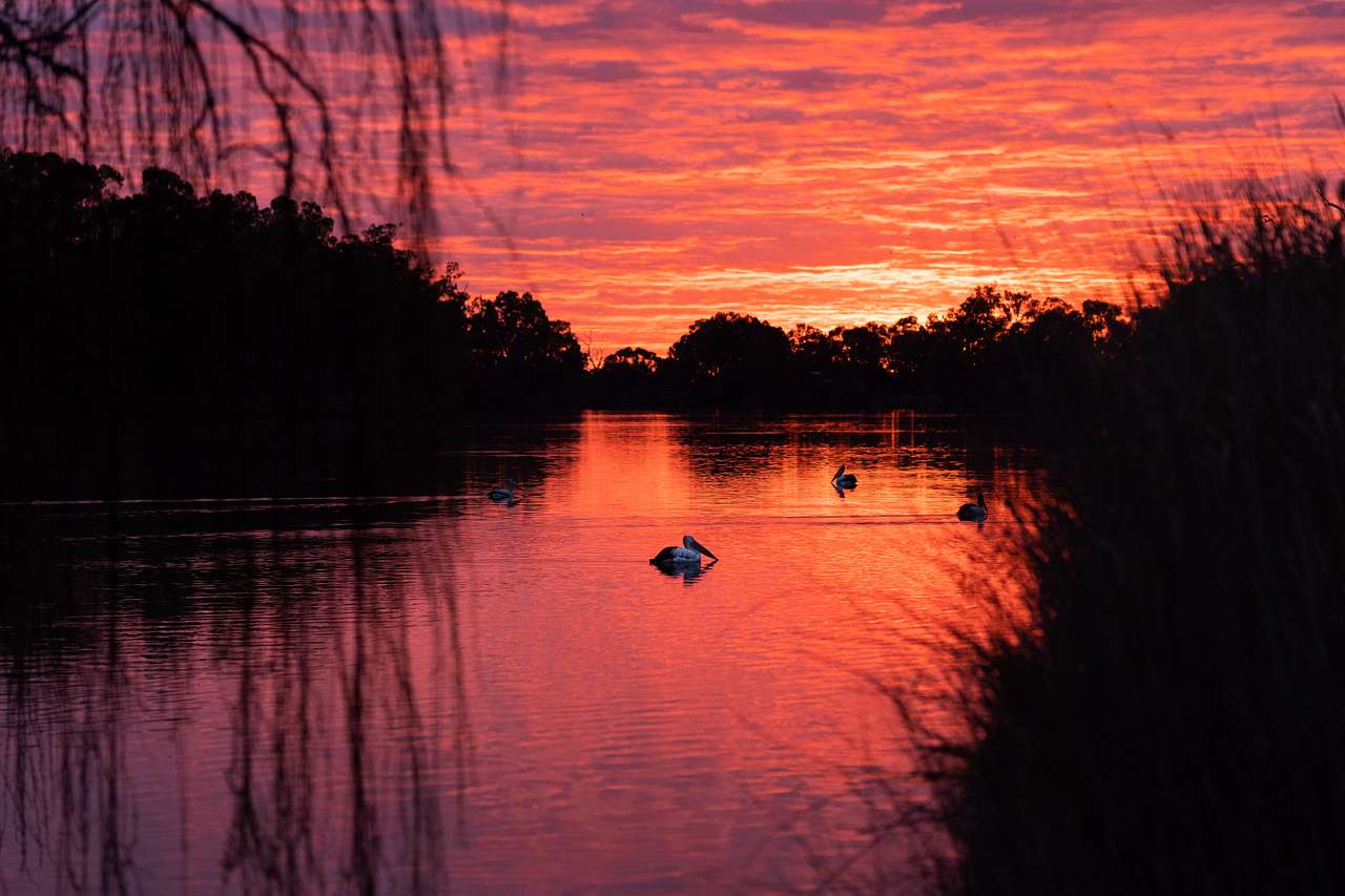 Secluded exclusive river campsite
