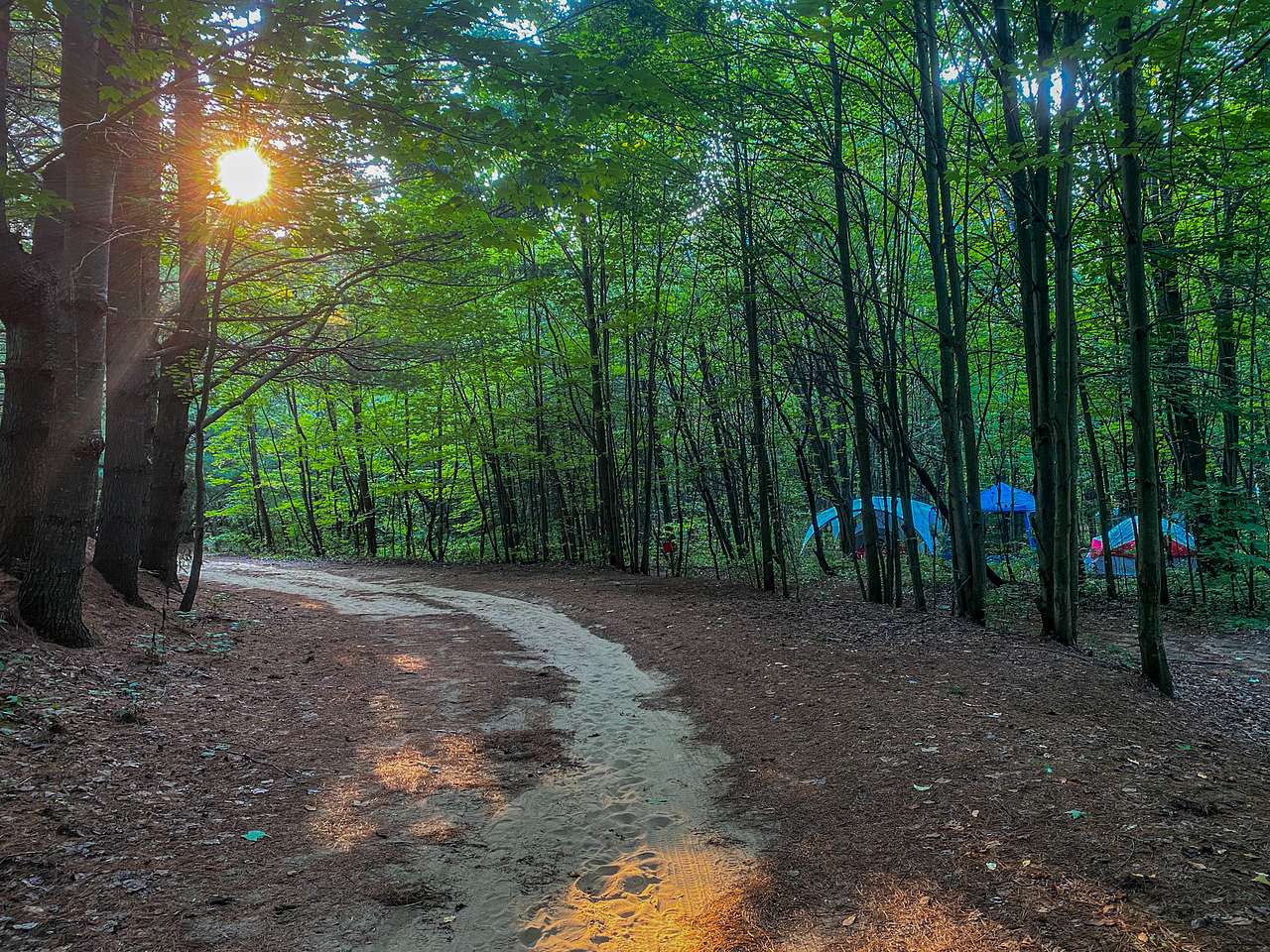HipCampers can choose their own sites...