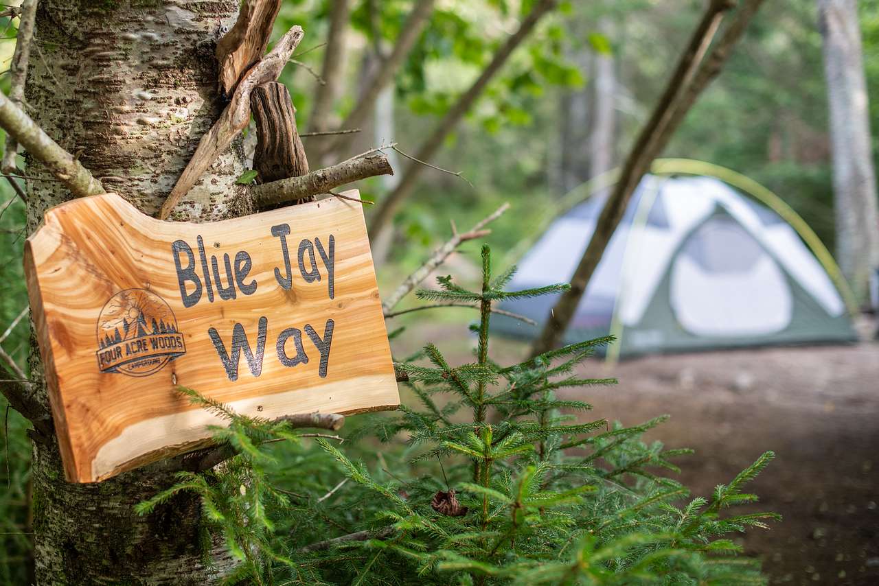 Our site for the night. Each site had a nice wooden sign with a unique driftwood sculpture.