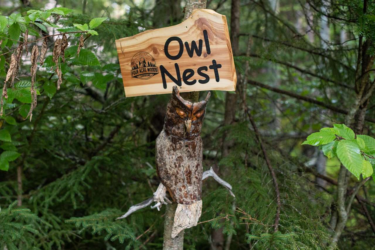 Cool driftwood sculptures made by the hosts mom.