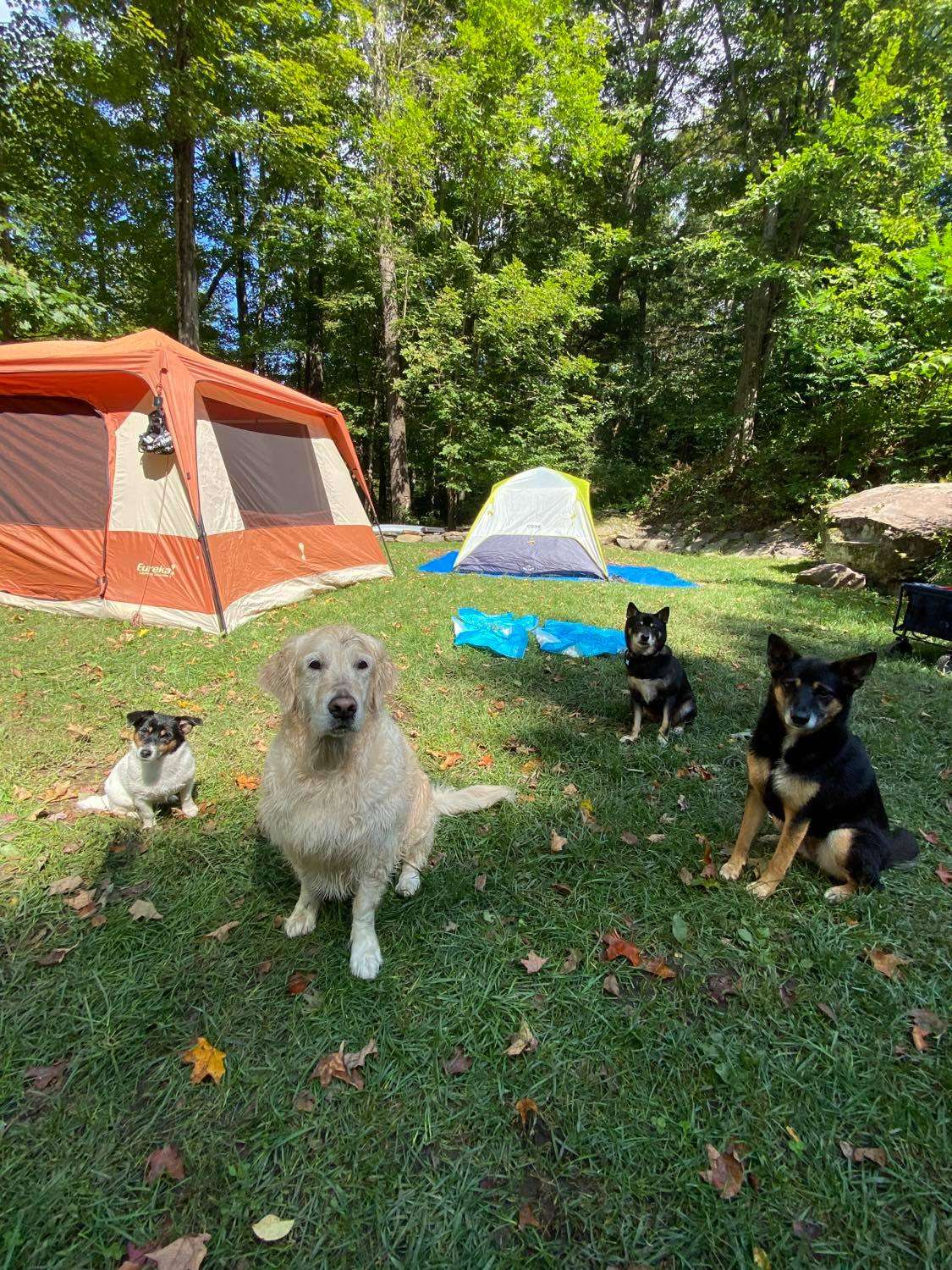 Neversink Sanctuary - Private Camp