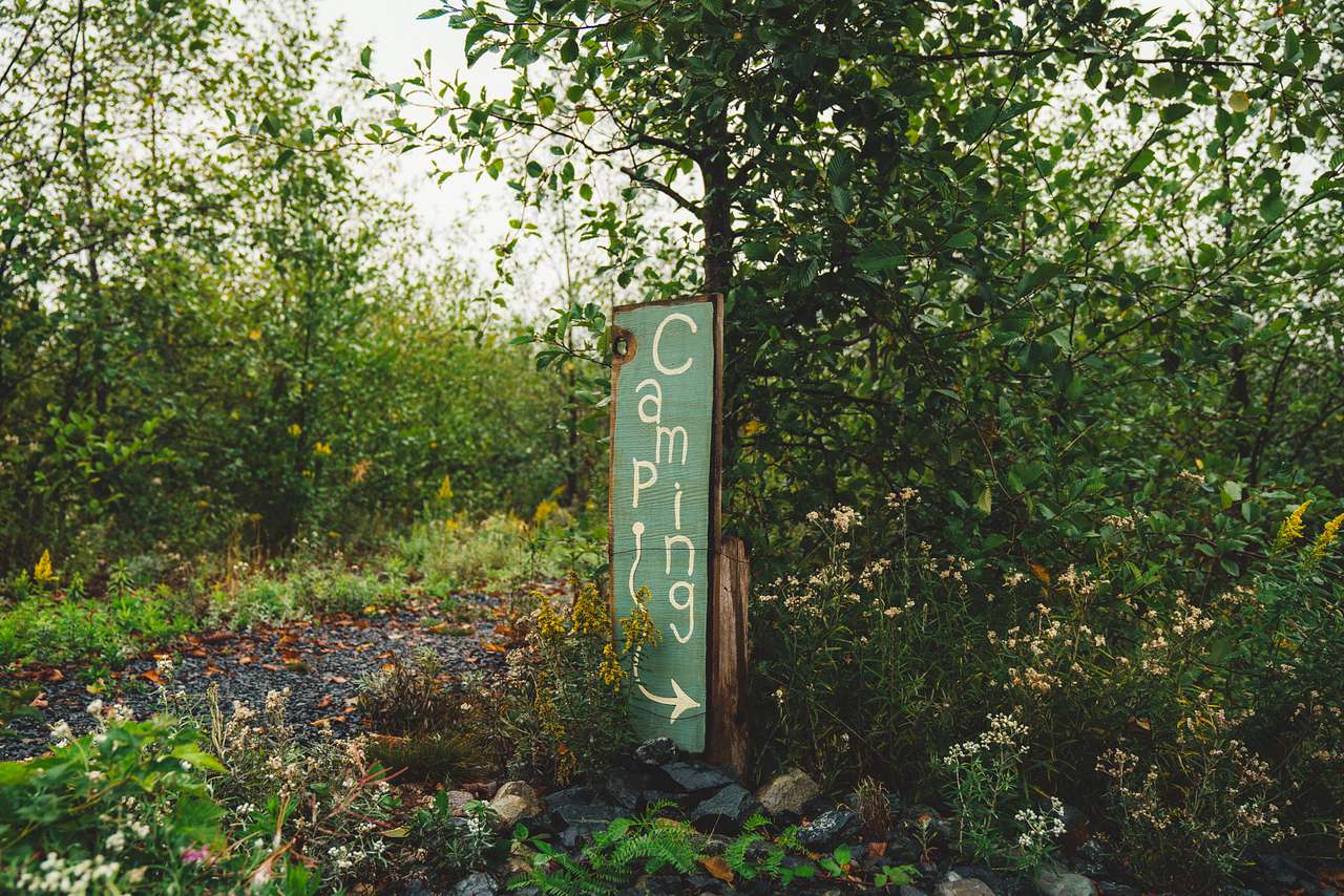 Signs pointing one in the right direction.