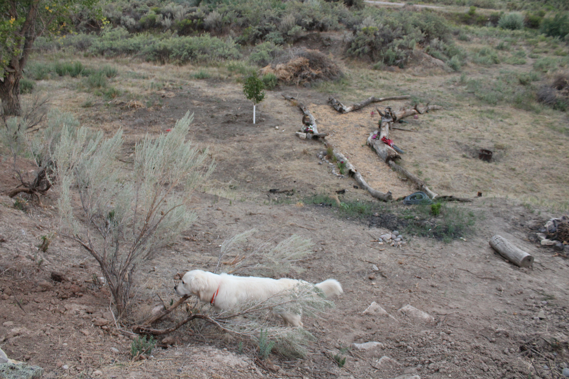 Our campground is a work in progress. We try to do natural landscaping, using elements on property or nearby for any hardscaping. 