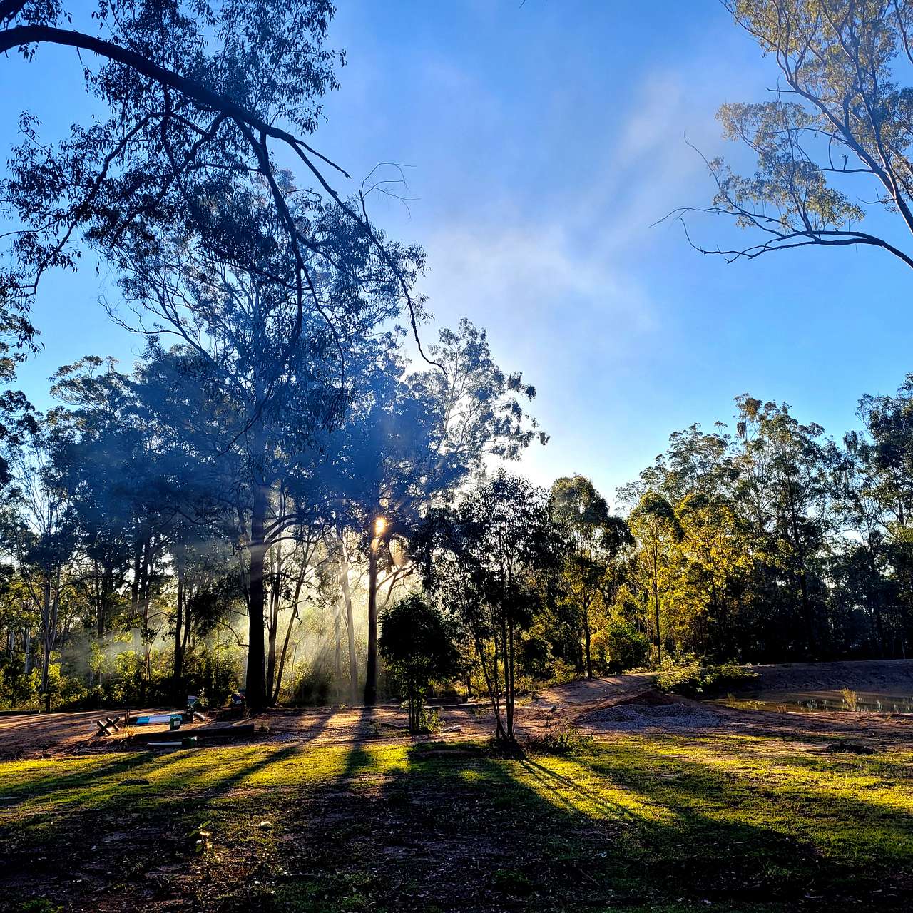 The Croft _ Horse Trax Oz Blackbutt