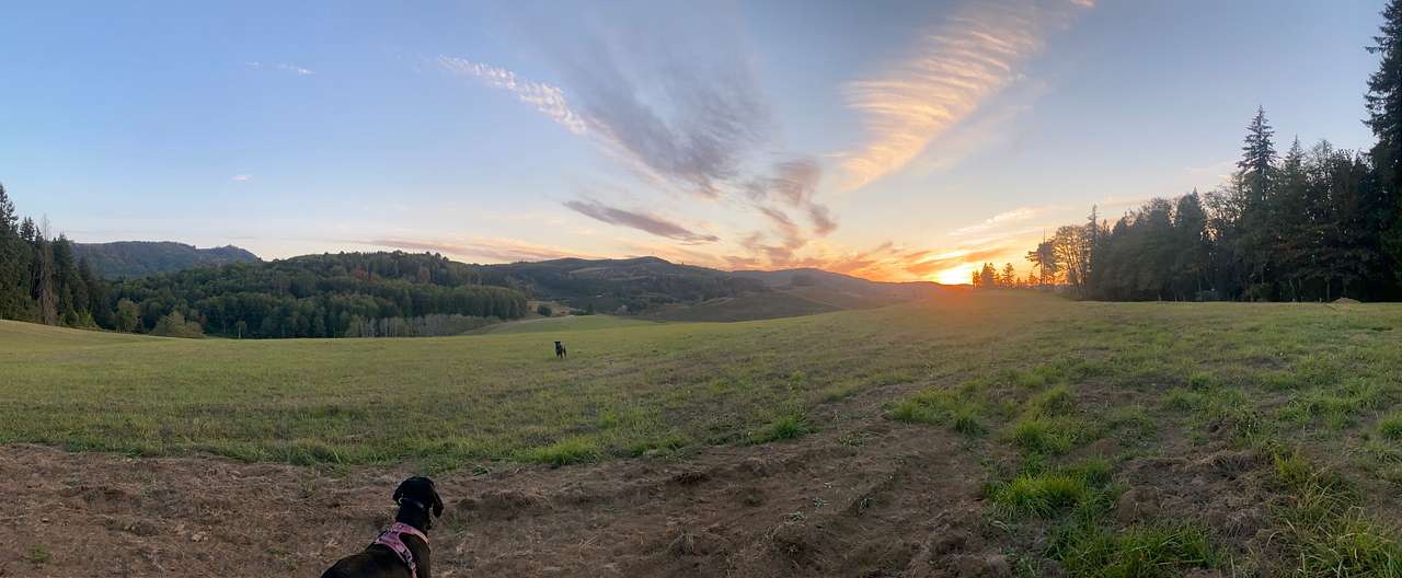 21 Acres above Riffe Lake Park