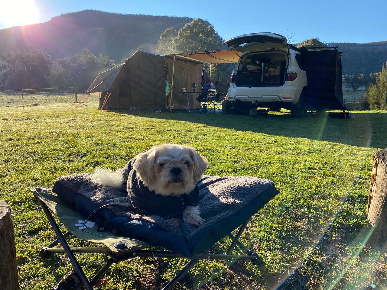 Dog friendly spot. Being a working cattle farm you just need to not let your dog annoy the cattle. They were great with our little old dog. All got along well. 