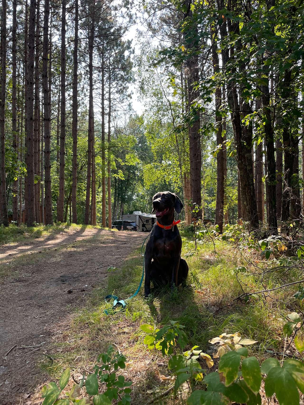 Mikko Kamp on the 4th Crow