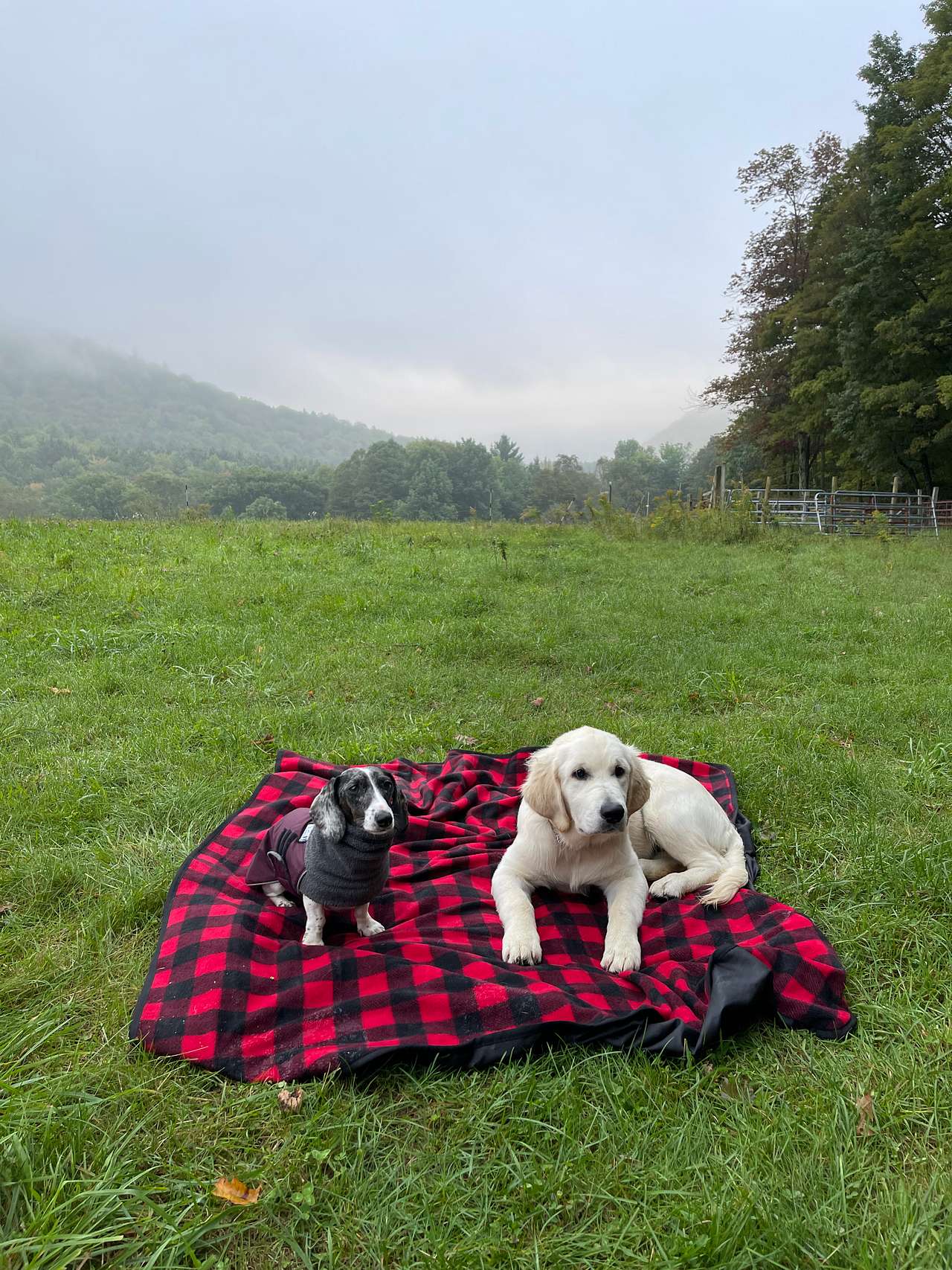 Squier Family Farm