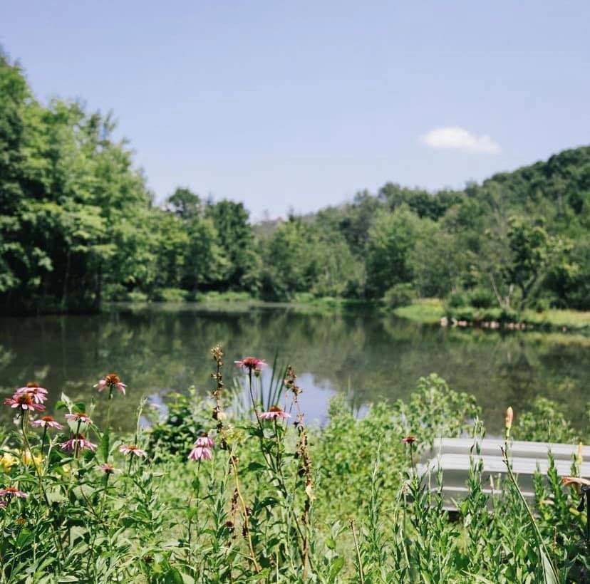 Stonehedge Gardens Holistic Retreat