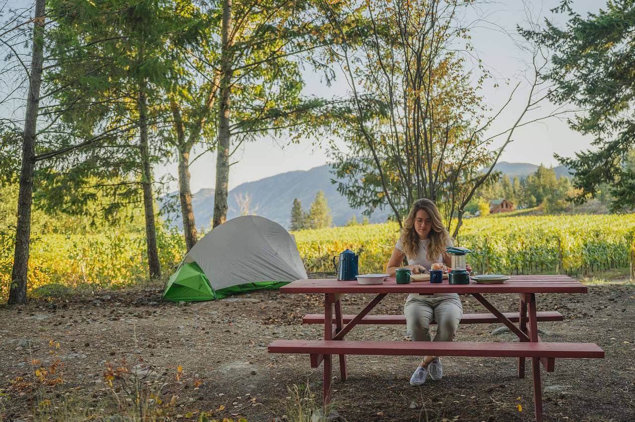 Back Forty Vineyards
