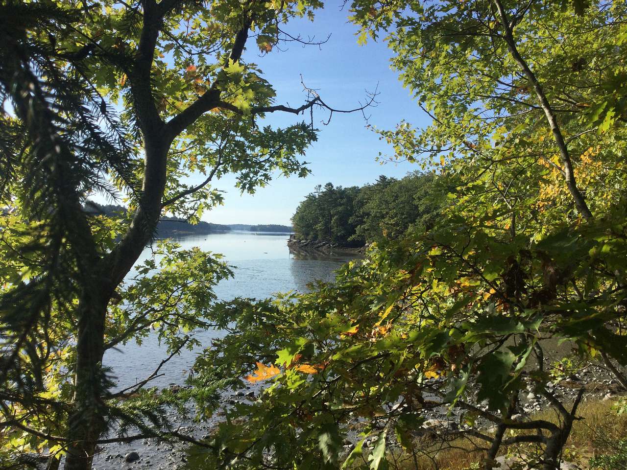 Waterfront campsite