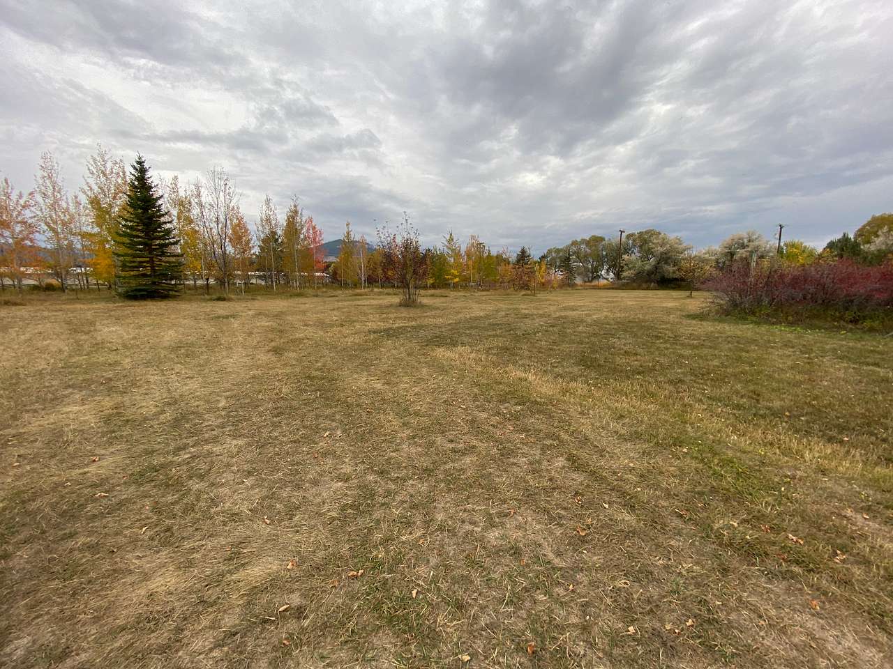 Pitch your tent in the trees or park your RV/Camper in the open field.  We have two designated spots in this area, which give each site plenty of space and privacy.