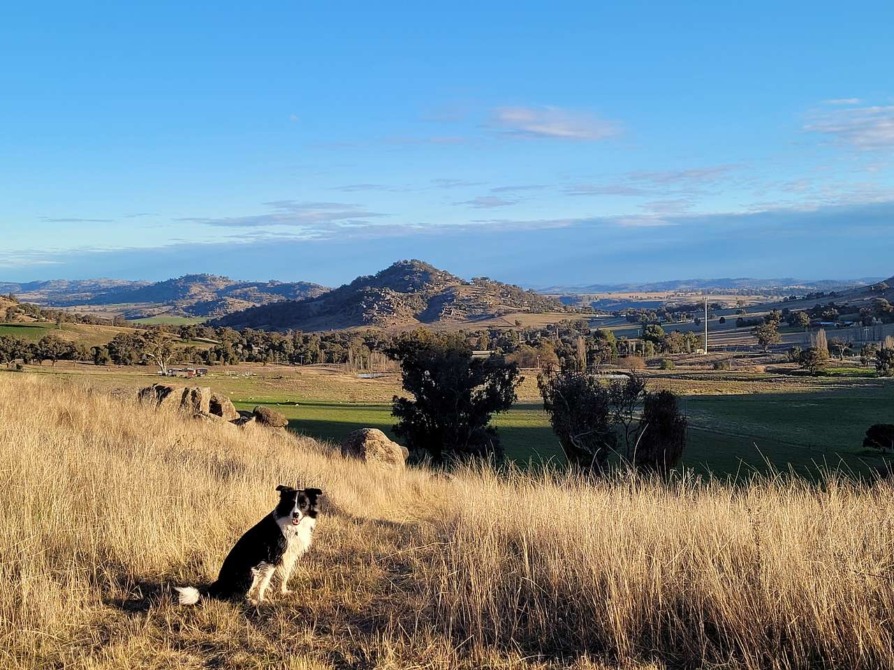 La Paloma Farm