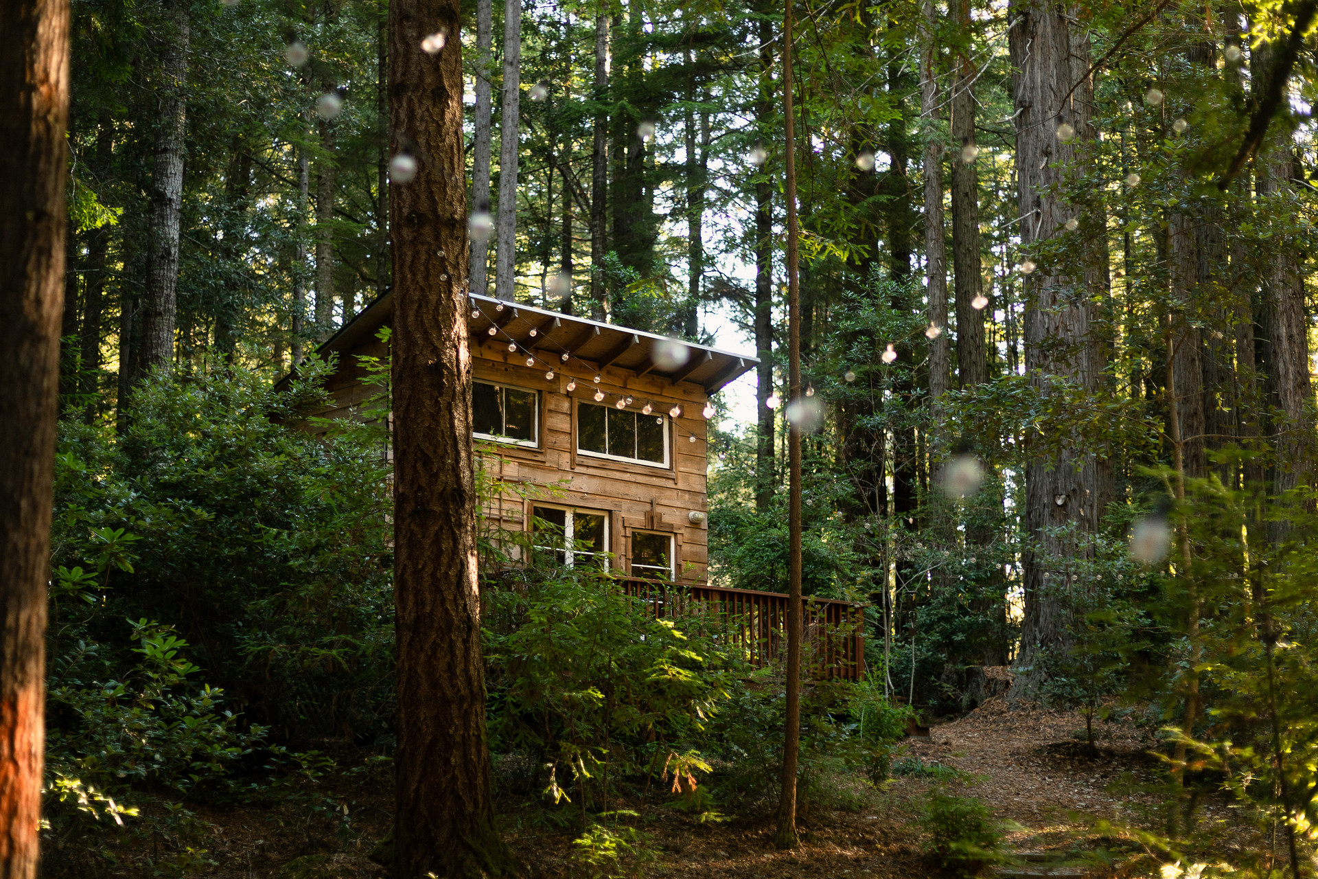 Woods by the Sea Ashram