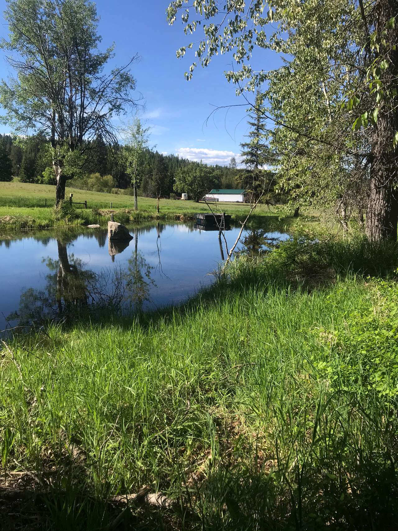 The pond camp