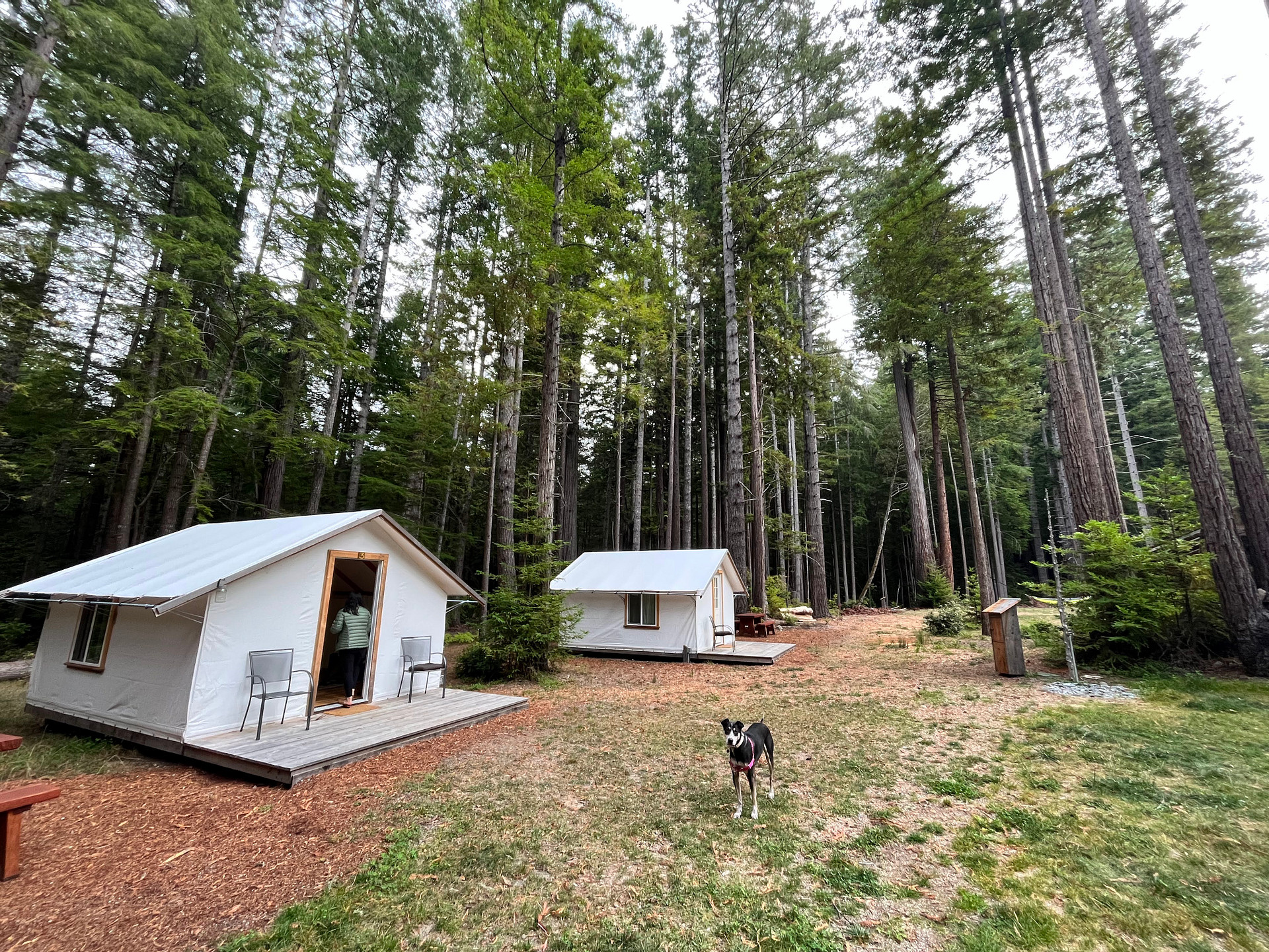 Heartwood Mendocino