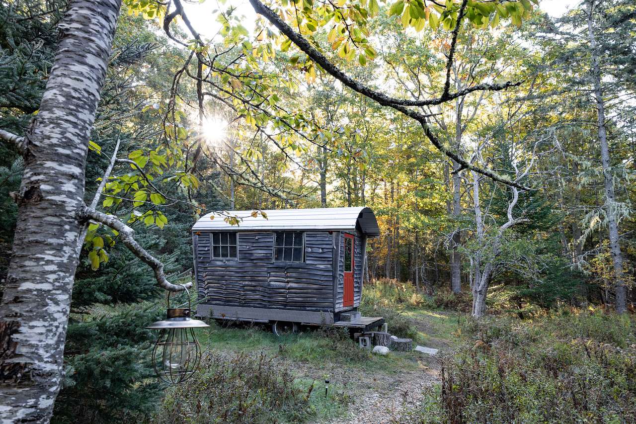 A path through the woods to your cabin in a quiet clearing...